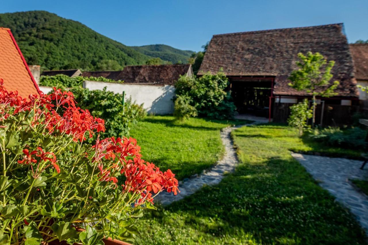 Apartmán Casa Paulini Cisnadioara Exteriér fotografie