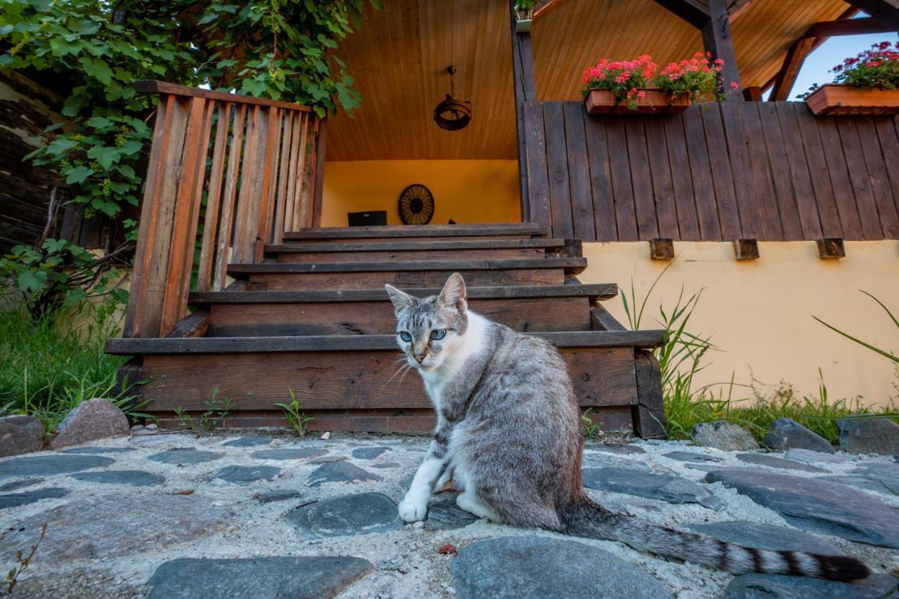 Apartmán Casa Paulini Cisnadioara Exteriér fotografie